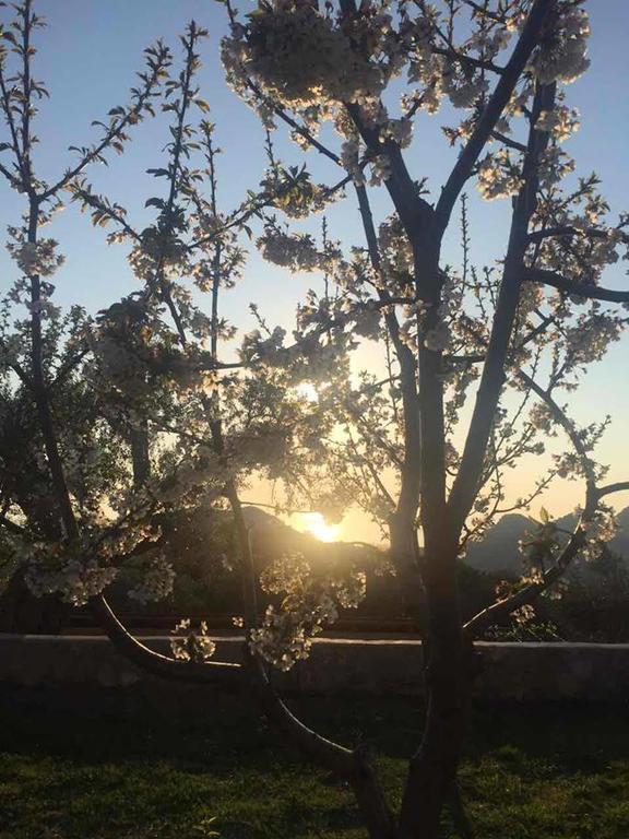Apartman Nikocevic Dobra Voda Exterior foto