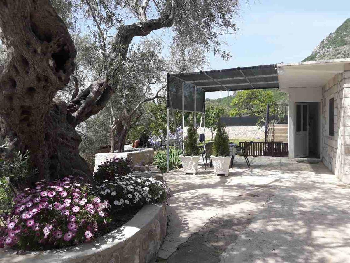 Apartman Nikocevic Dobra Voda Exterior foto