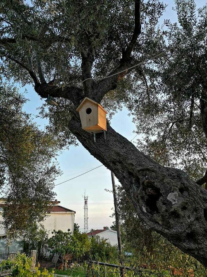 Apartman Nikocevic Dobra Voda Exterior foto